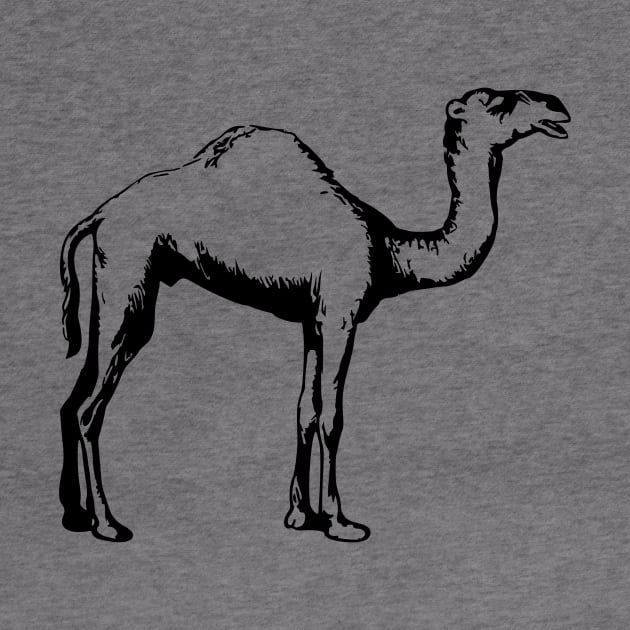 Camel by linesdesigns